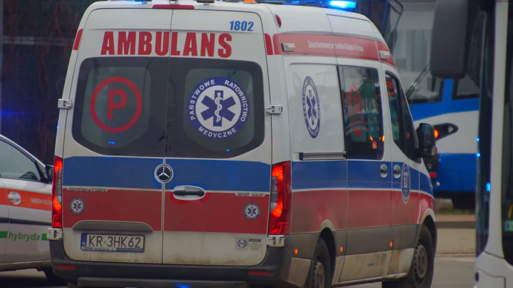 Żmija lewantyńska w Polsce. Lekarze walczyli o nastolatka, odtrutkę sprowadzono z Niemiec Żmija lewantyńska w Polsce. Lekarze walczyli o nastolatka, odtrutkę sprowadzono z Niemiec