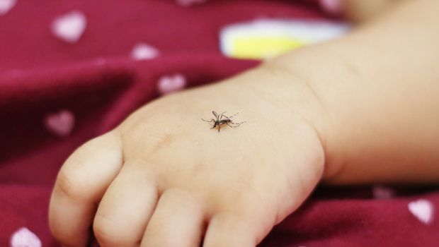 Śmiertelna gorączka krwotoczna w Hiszpanii. Co wiadomo o CCHF? Czy wirus zagraża Polsce?