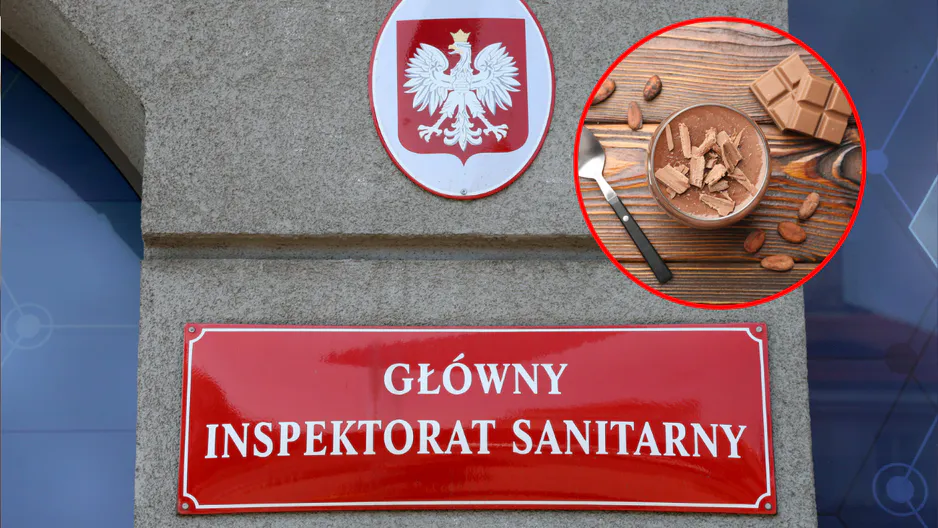 GIS ostrzega przed puddingiem Pilos. Wykryto bakterię Bacillus cereus. Оznaczenie partii i co zrobić