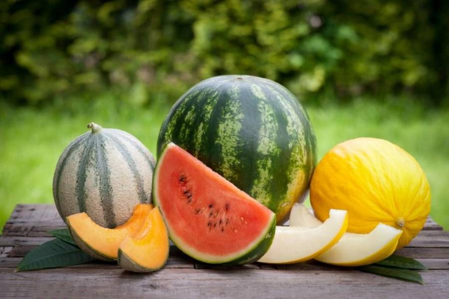 Jak wybrać dobrego melona? Te oznaki zdradzają dojrzały owoc