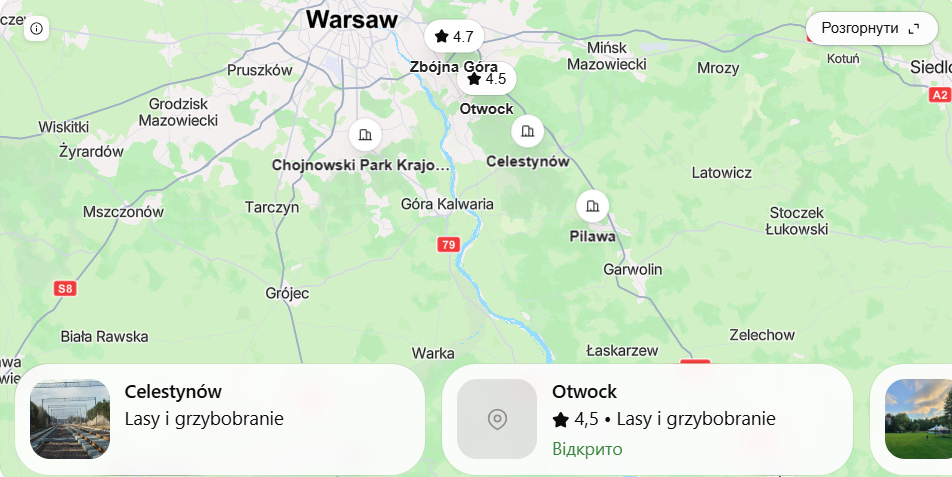 Gdzie na grzyby w Warszawie i okolicach? Mapa najlepszych miejsc na 2026 rok