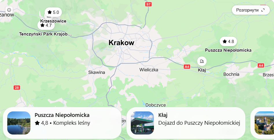 Grzybne miejsca Kraków 2026: gdzie zbierać grzyby, najlepsze trasy i jak dojechać