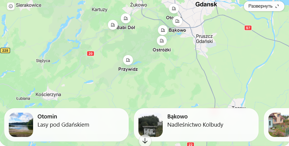 Gdzie na grzyby koło Gdańska w 2026? Konkretne lasy i mapa