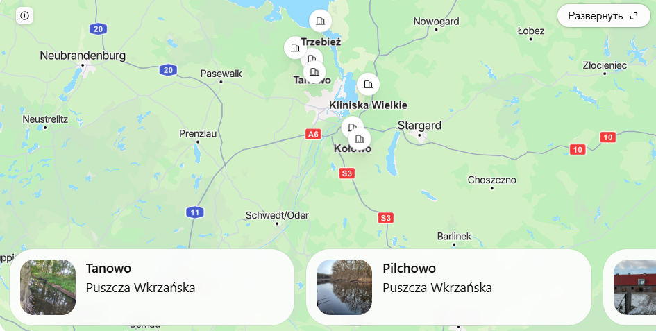Grzybowe miejsca Szczecin: gdzie zbierać grzyby 2026 – trasa