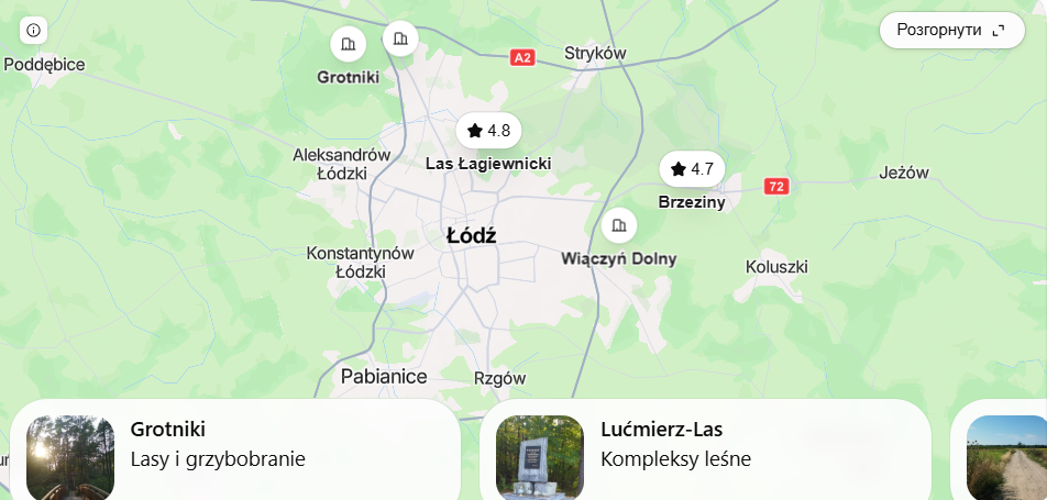 Mapa grzybów Łódź 2026. Gdzie szukać borowików, podgrzybków i maślaków