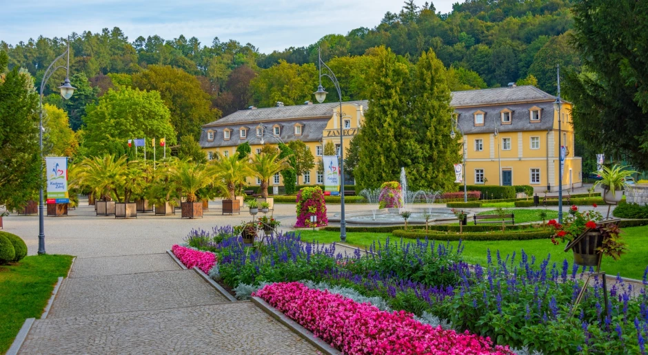 Sanatorium z psem lub kotem w Polsce 2026. Gdzie można pojechać i ile to kosztuje?